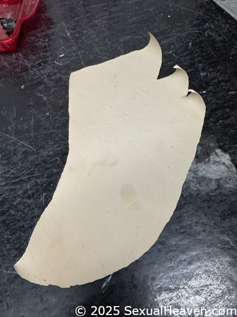 A sheet of paint that peeled off.