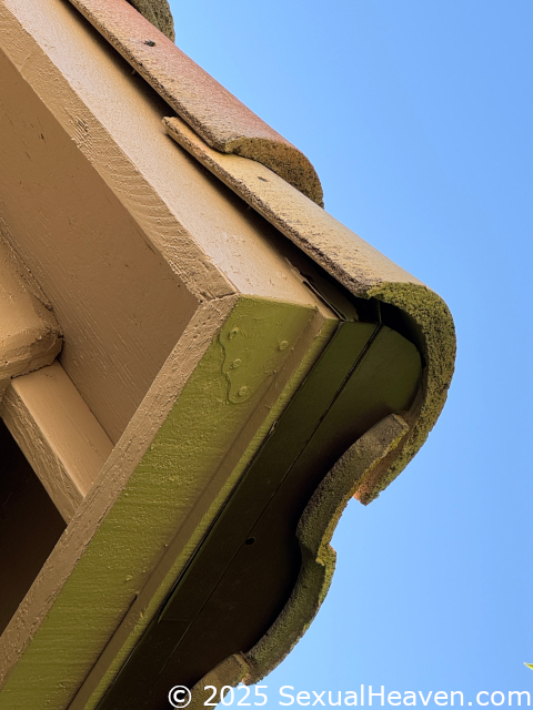 Fascia board joints holding things together.