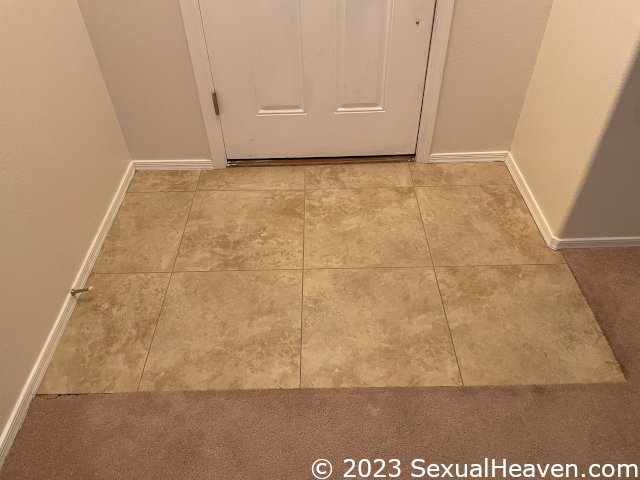 New tile in the front entry.
