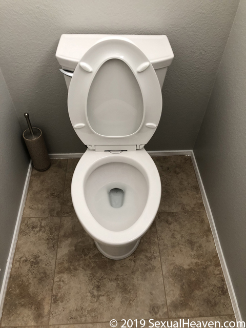 An installed toilet.