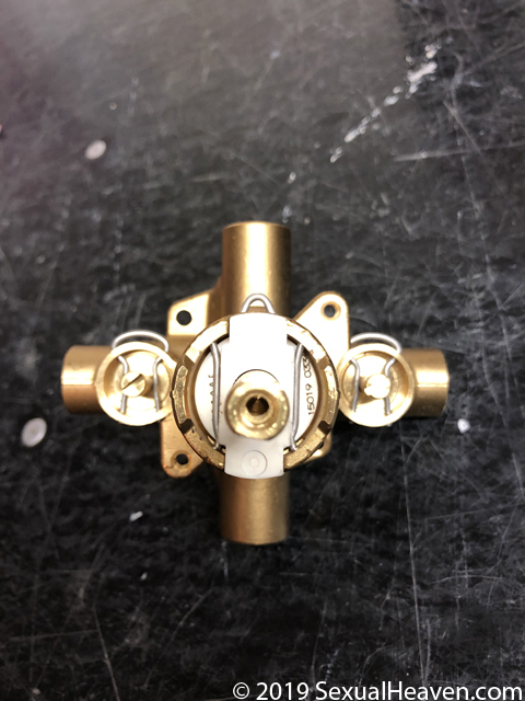 A Moen Positemp valve.
