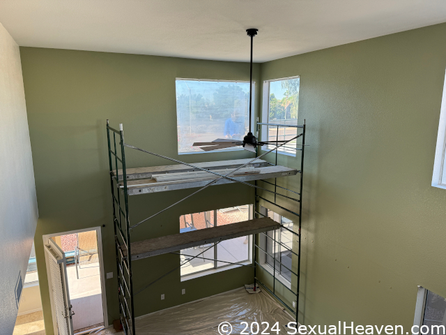 Scaffolding in the living room.